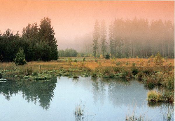 Bild der Franzosenwiesen